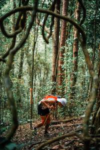 BIB: 
                            <button type="button" onclick="openModal(25238243)" class="btn btn-primary btn-sm float-right btn-popup" data-toggle="modal" data-target=".modal-high-quality">
                        <i class="fas fa-shopping-cart"></i> Add to Cart
                    </button>
                                            <button type="button" onclick="isThisMe(25238243, true)" class="btn btn-success btn-sm float-right btn-popup btn-isme hidden" data-toggle="tooltip" data-placement="bottom" title="นี่คือรูปของคุณใช่ไหม คลิกที่นี่เพื่อเอาเข้าอัลบั้ม">
                        <i class="fas fa-plus"></i> Add to album
                    </button>
                    <button type="button" onclick="isThisMe(25238243, false)" class="btn btn-warning btn-sm float-right btn-popup btn-isnotme hidden">
                        <i class="fas fa-ban"></i> Remove from album
                    </button>